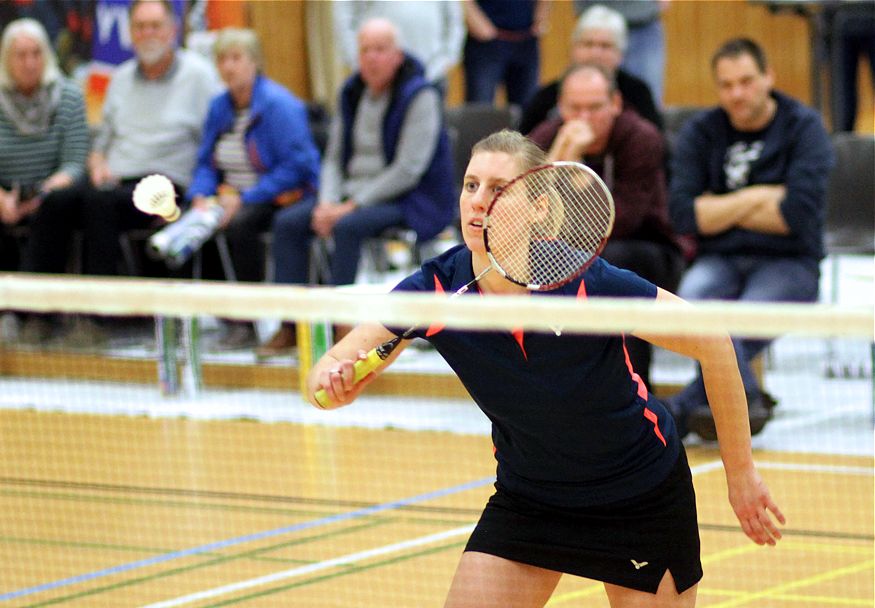 SC Itzehoe, SCI-Badminton