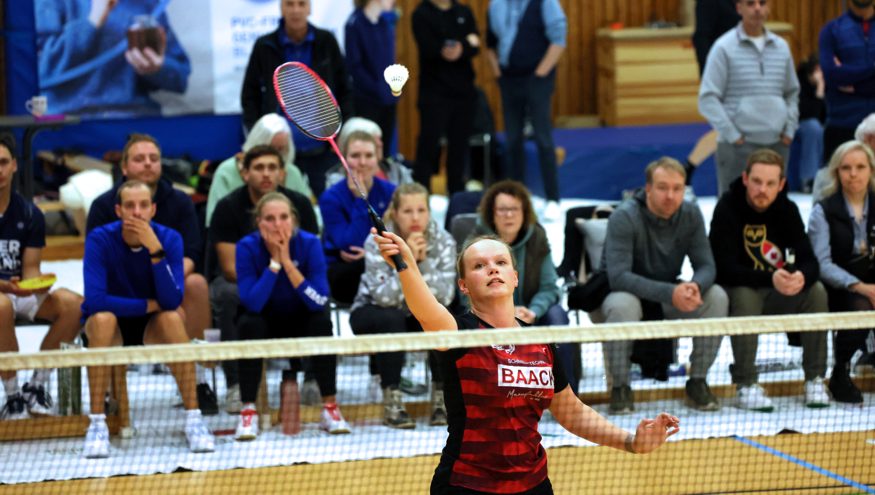 SC Itzehoe, SCI-Badminton